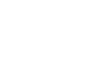 Eagle Investigation and Security, Inc. logo