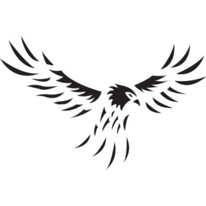 Icon of eagle Eagle Investigation and Security, Inc.