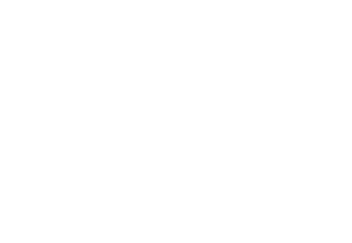 Eagle Investigation & Security, Inc.